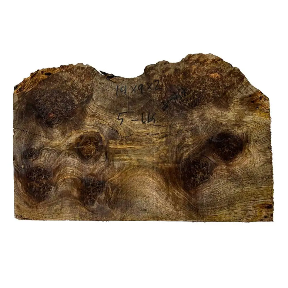 Chechen Burl Cap 14"x9"x2"	5.00 lbs |  #547 - Exotic Wood Zone - Buy online Across USA 