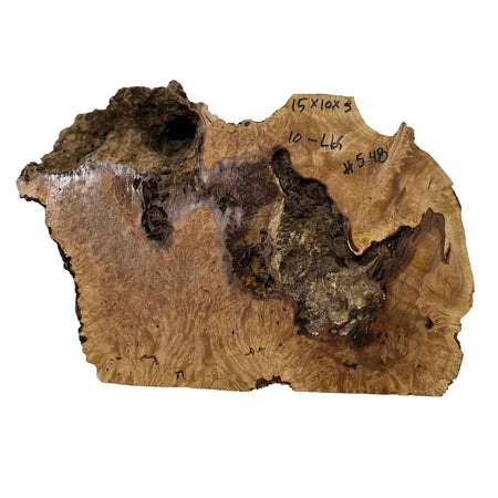 Chechen Burl Cap 15"x10"x3"	10 lbs |  #548 - Exotic Wood Zone - Buy online Across USA 