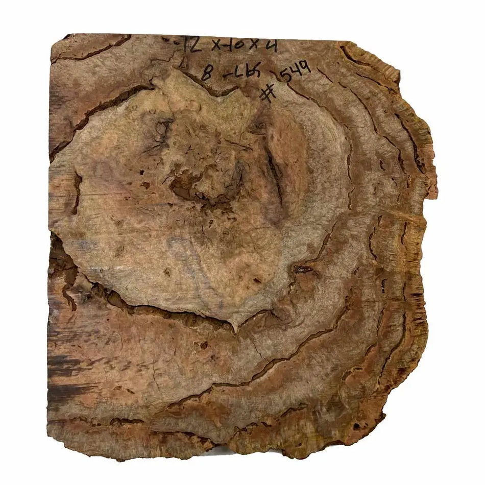 Chechen Burl Cap 12"x10"x4"	8 lbs |  #549 - Exotic Wood Zone - Buy online Across USA 