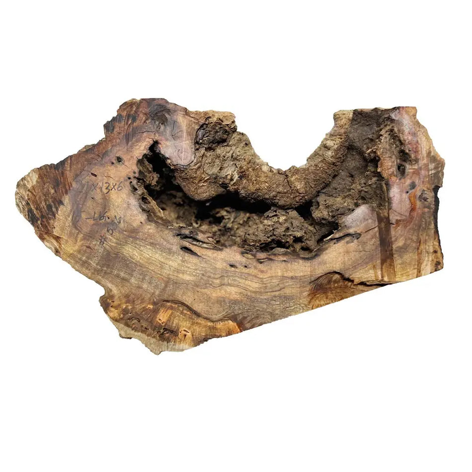 Chechen Burl Cap 21"x13"x6"	15.00 lbs |  #556 - Exotic Wood Zone - Buy online Across USA 