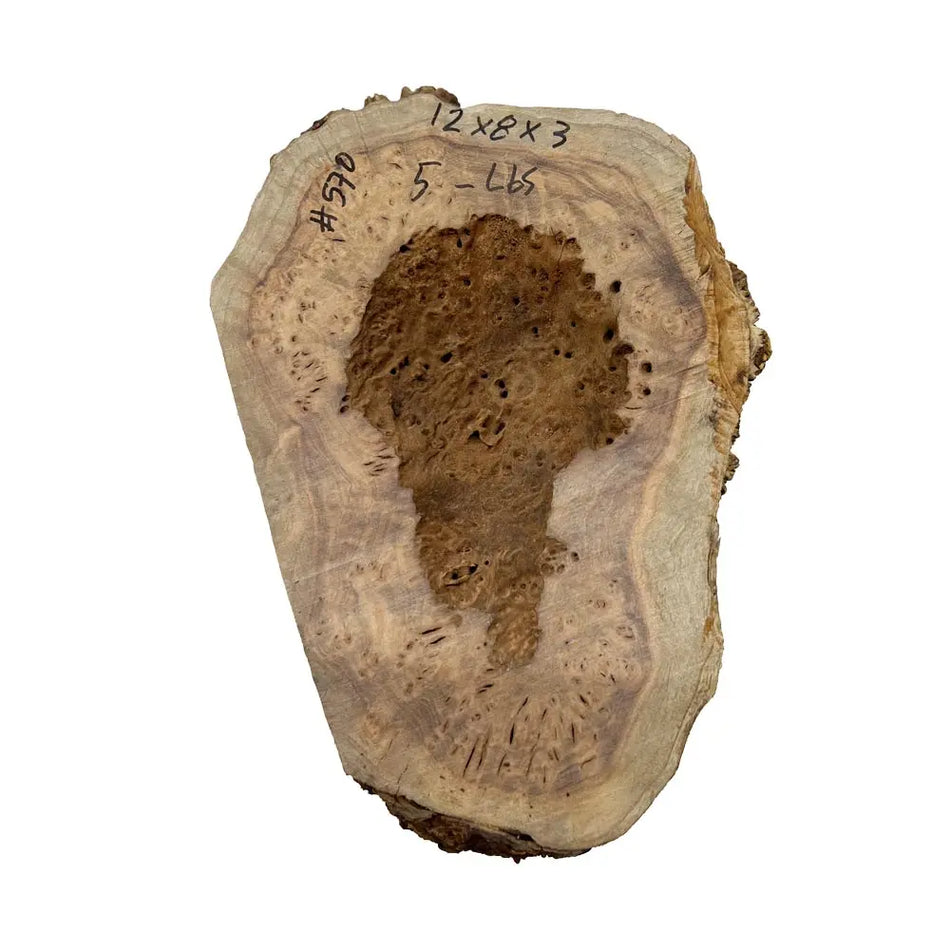 Chechen Burl Cap 12"x8"x3"	5lbs |  #570 - Exotic Wood Zone - Buy online Across USA 