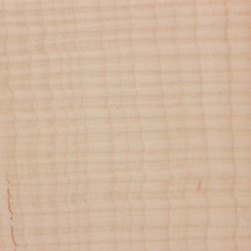 Curly Maple Guitar Fingerboard Blank - Exotic Wood Zone - Buy online Across USA 