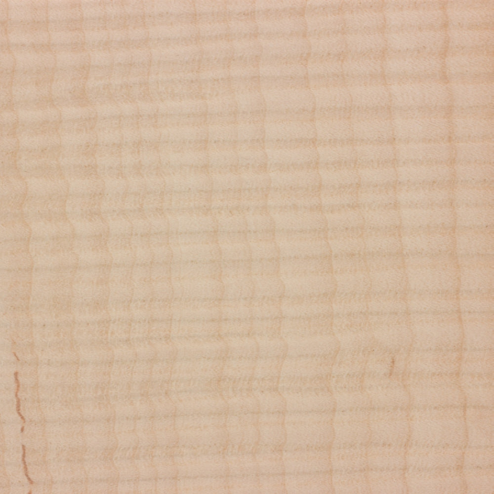 Curly Maple Guitar Fingerboard Blank - Exotic Wood Zone - Buy online Across USA 
