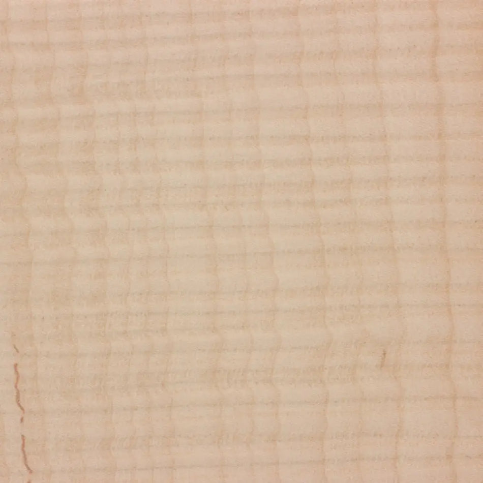 Curly Maple Guitar Fingerboard Blank - Exotic Wood Zone - Buy online Across USA 