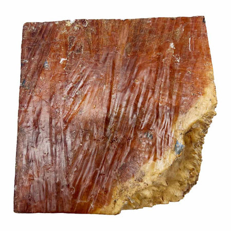 Red Coolibah Burl Bowl 6" x 6" x 3" - 2 lbs  #208 - Exotic Wood Zone - Buy online Across USA 