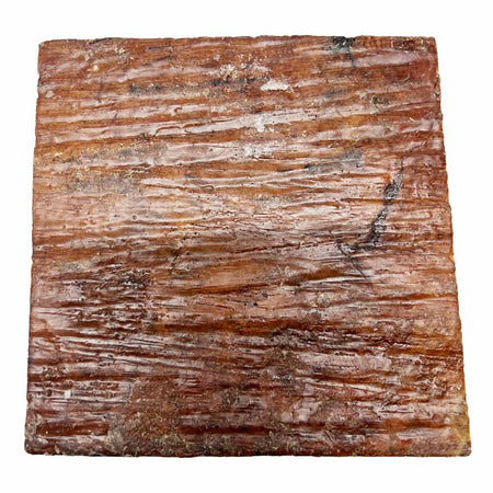 Red Coolibah Burl Bowl 6" x 6" x 3" 2 lbs  #230 - Exotic Wood Zone - Buy online Across USA 