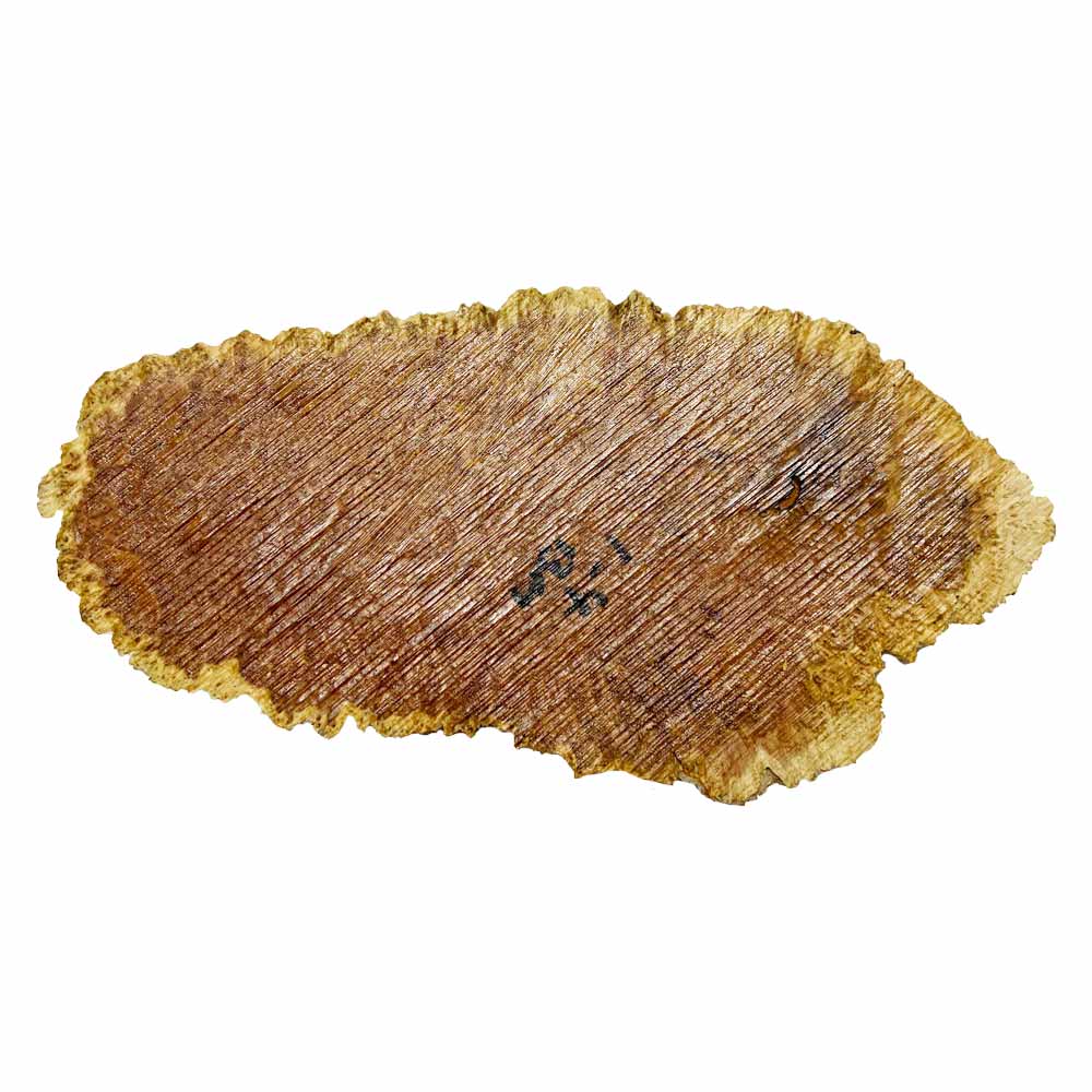 Brown Mallee Burl Cookies 5" x 10" x 1" , 2 lbs |  #542 - Exotic Wood Zone - Buy online Across USA 