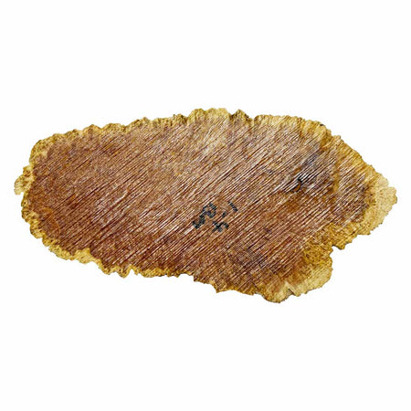 Brown Mallee Burl Cookies 5" x 10" x 1" , 2 lbs |  #542 - Exotic Wood Zone - Buy online Across USA 