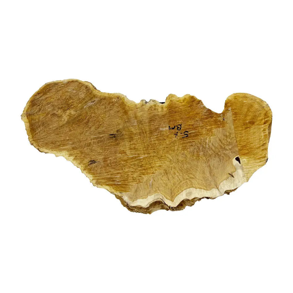 Brown Mallee Burl Cookies 6" x 14" x 1-1/4" , 4.25 lbs |  #545 - Exotic Wood Zone - Buy online Across USA 