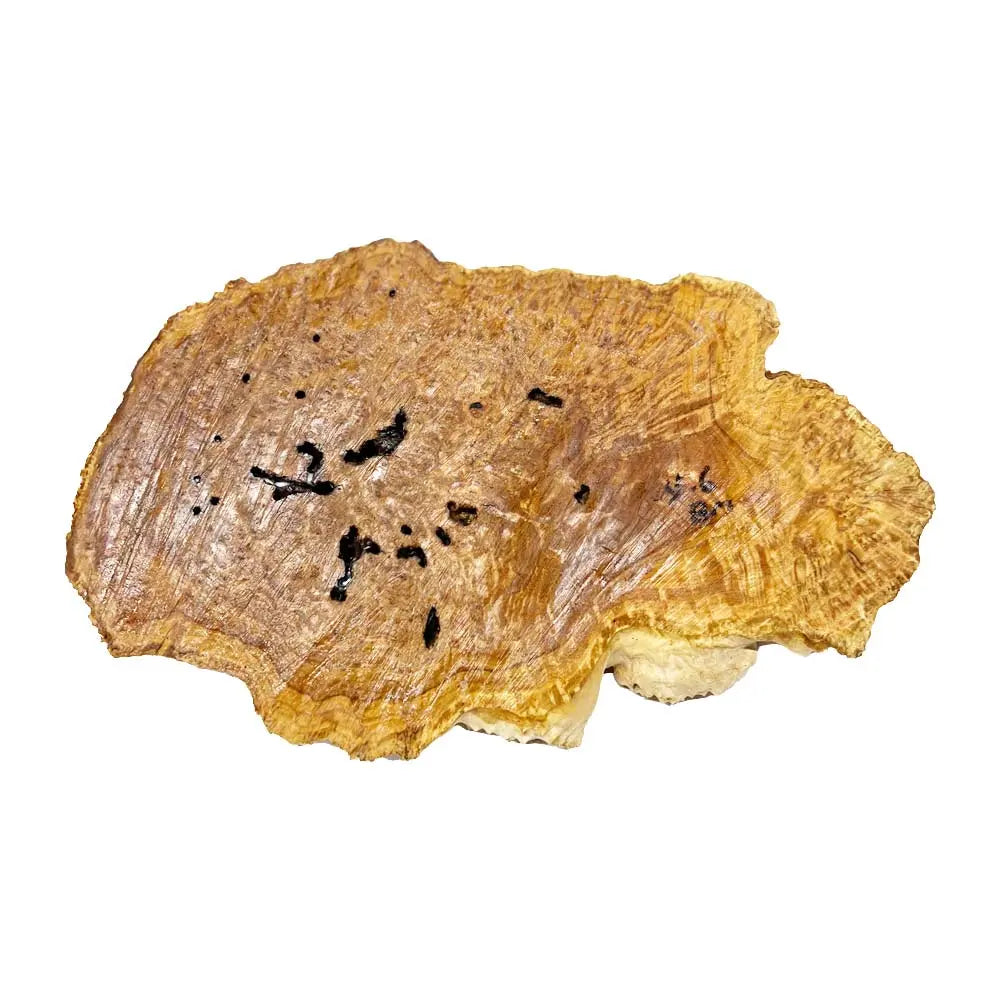 Brown Mallee Burl Cookies 8" x 13" x 1-1/4" , 4.75 lbs |  #561 - Exotic Wood Zone - Buy online Across USA 