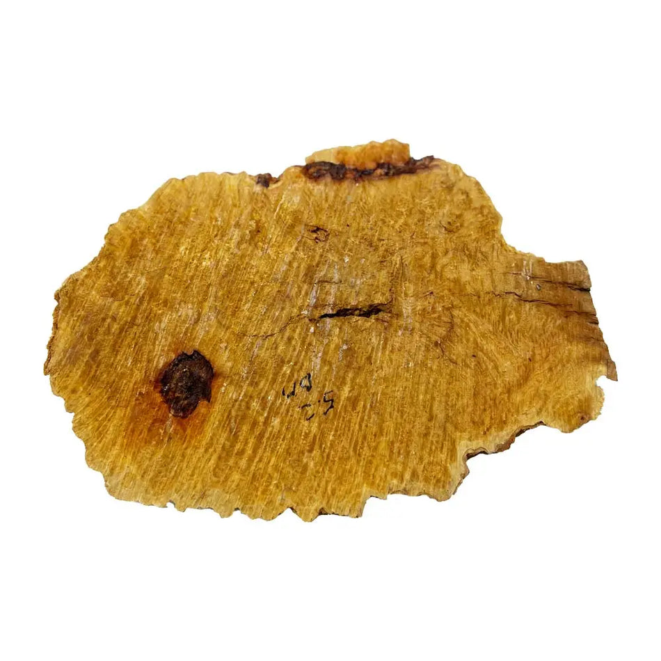 Brown Mallee Burl Cookies 9" x 14" x 1-1/4" , 5.25 lbs |  #565 - Exotic Wood Zone - Buy online Across USA 