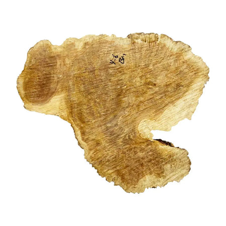 Brown Mallee Burl Cookies 10" x 9" x 1-1/4" , 4.65 lbs |  #567 - Exotic Wood Zone - Buy online Across USA 