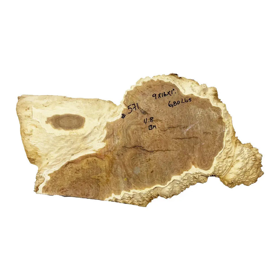 Brown Mallee Burl Cookies 9" x 16" x 1" , 6.8 lbs |  #571 - Exotic Wood Zone - Buy online Across USA 