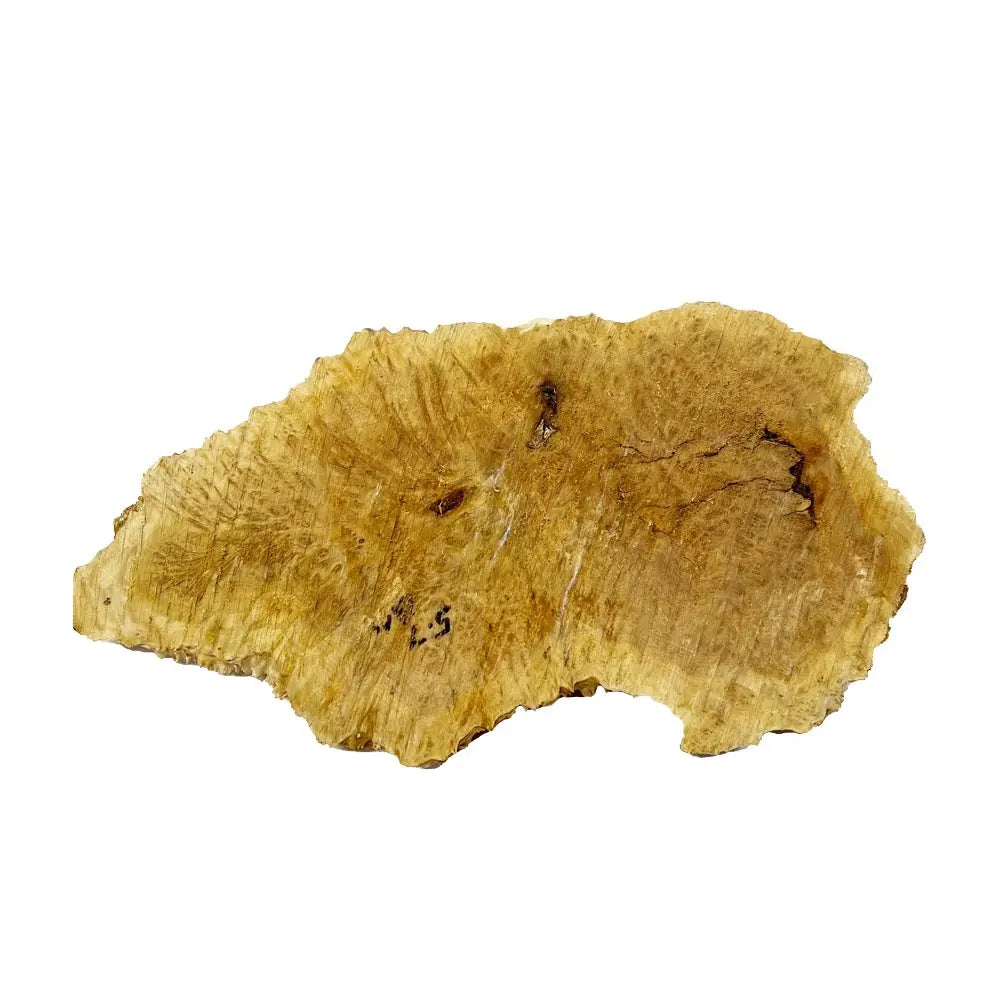 Brown Mallee Burl Cookies 8" x 15" x 1-3/8" , 5.4 lbs |  #572 - Exotic Wood Zone - Buy online Across USA 