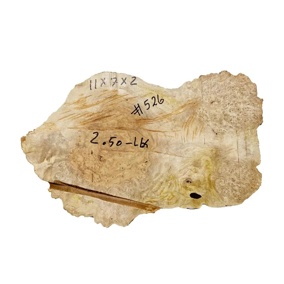 Chechen Burl Cap 11" x 7" x 2", 2.50 lbs |  #526 - Exotic Wood Zone - Buy online Across USA 