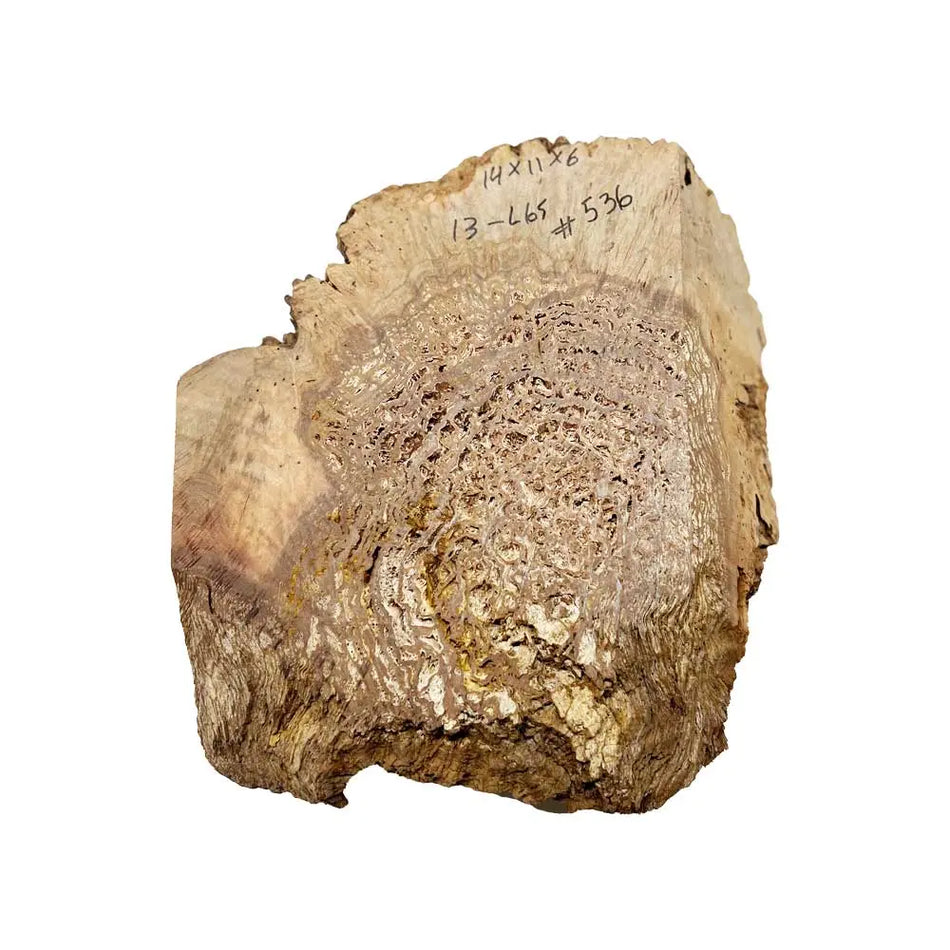 Chechen Burl Cap 14" x 11" x 6", 13.0 lbs |  #536 - Exotic Wood Zone - Buy online Across USA 