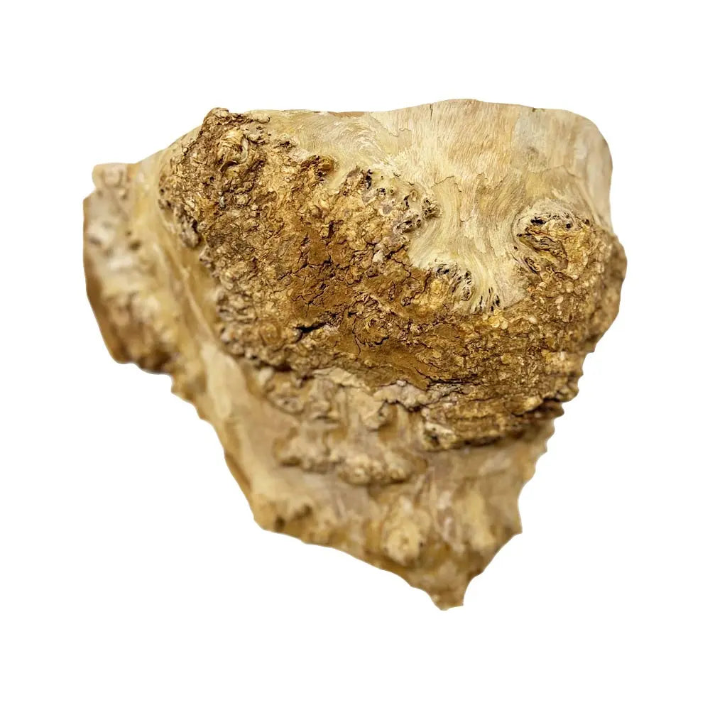 Chechen Burl Cap 8" x 5" x 4", 2.65 lbs |  #540 - Exotic Wood Zone - Buy online Across USA 