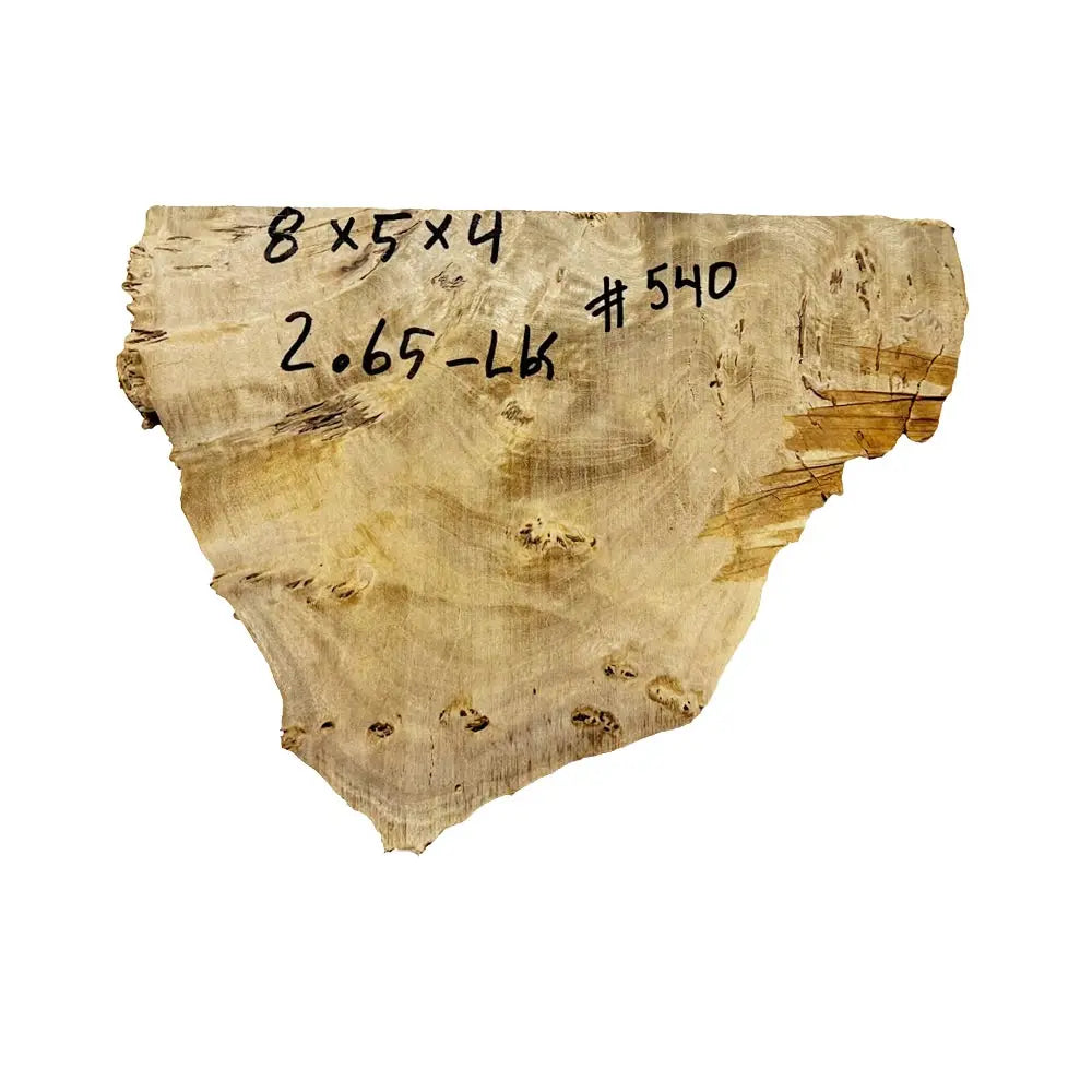 Chechen Burl Cap 8" x 5" x 4", 2.65 lbs |  #540 - Exotic Wood Zone - Buy online Across USA 