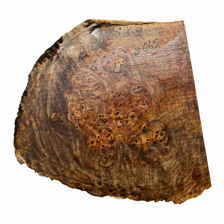 Chechen Burl Cap 9x9x3 inches, 6 Lbs |  #665 - Exotic Wood Zone - Buy online Across USA 