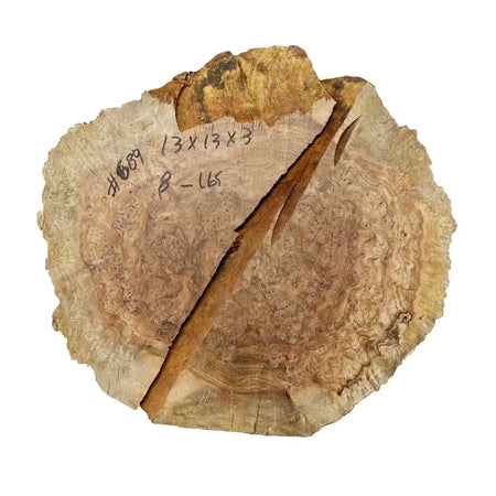 Chechen Burl Cap 13x13x3 inches, 8 Lbs |  #689 - Exotic Wood Zone - Buy online Across USA 