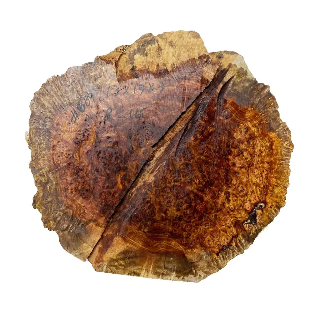 Chechen Burl Cap 13x13x3 inches, 8 Lbs |  #689 - Exotic Wood Zone - Buy online Across USA 