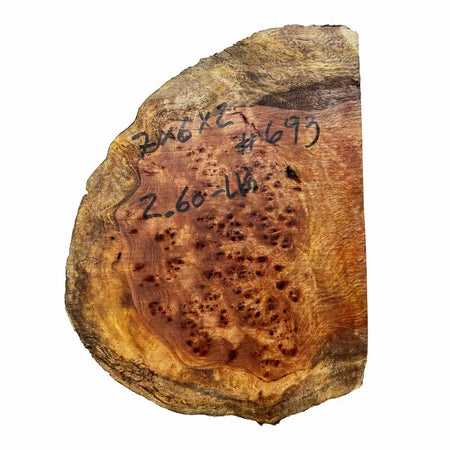 Chechen Burl Cap 7x6x2 inches, 2.6 Lbs |  #693 - Exotic Wood Zone - Buy online Across USA 