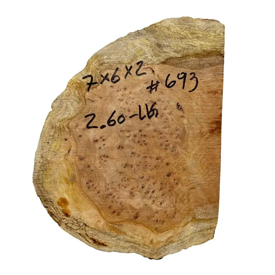 Chechen Burl Cap 7x6x2 inches, 2.6 Lbs |  #693 - Exotic Wood Zone - Buy online Across USA 