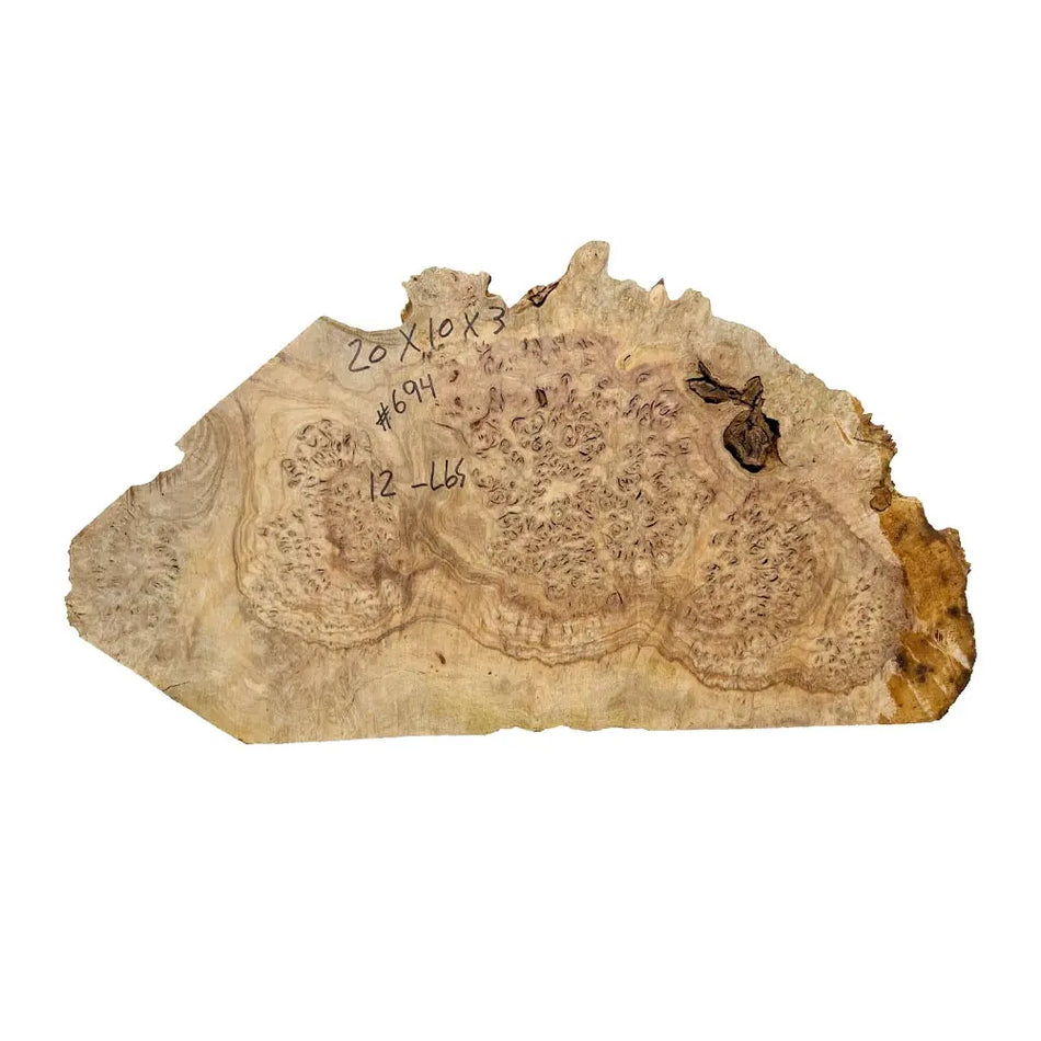 Chechen Burl Cap 20x10x3 inches, 12 Lbs |  #694 - Exotic Wood Zone - Buy online Across USA 