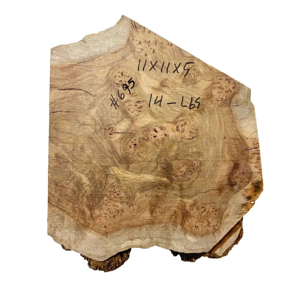 Chechen Burl Cap 11x11x5 inches, 14 Lbs |  #695 - Exotic Wood Zone - Buy online Across USA 