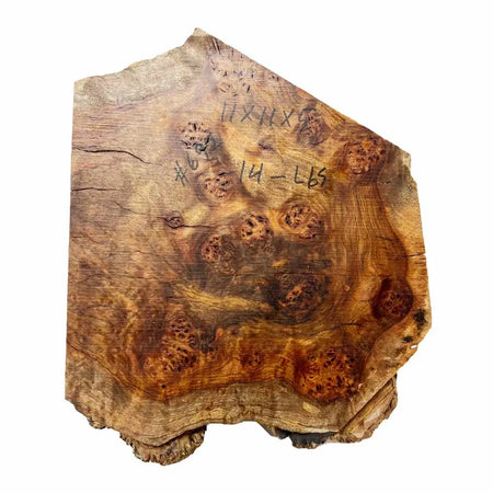 Chechen Burl Cap 11x11x5 inches, 14 Lbs |  #695 - Exotic Wood Zone - Buy online Across USA 