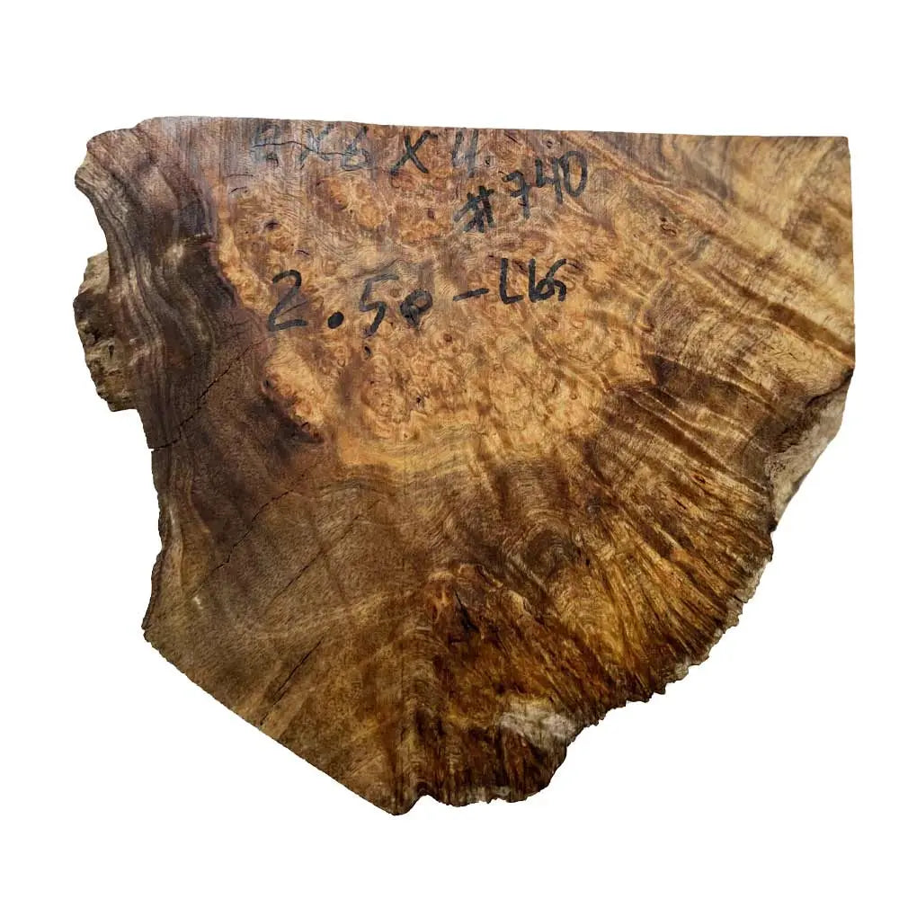 Chechen Burl Cap 8x6x4 inches, 2.5 lbs |  #740 - Exotic Wood Zone - Buy online Across USA 