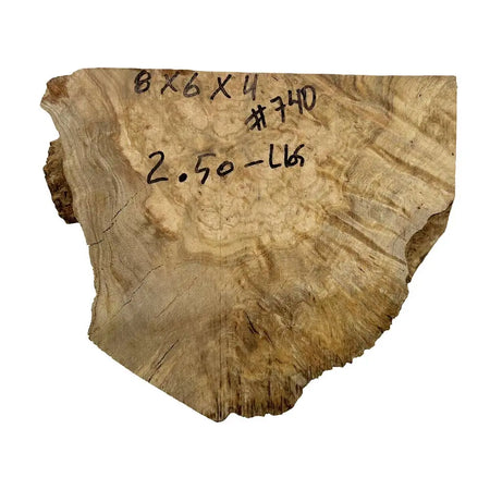 Chechen Burl Cap 8x6x4 inches, 2.5 lbs |  #740 - Exotic Wood Zone - Buy online Across USA 