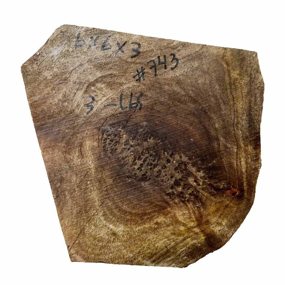 Chechen Burl Cap 6x6x3 inches, 3 lbs |  #743 - Exotic Wood Zone - Buy online Across USA 