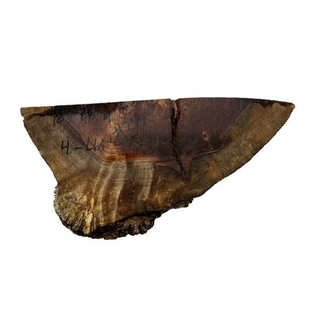 Chechen Burl Cap 10x9x4 inches, 4 lbs |  #744 - Exotic Wood Zone - Buy online Across USA 