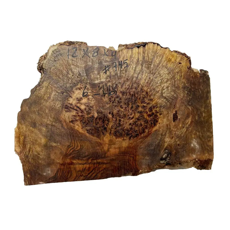 Chechen Burl Cap 12x8x4 inches, 6 lbs |  #745 - Exotic Wood Zone - Buy online Across USA 