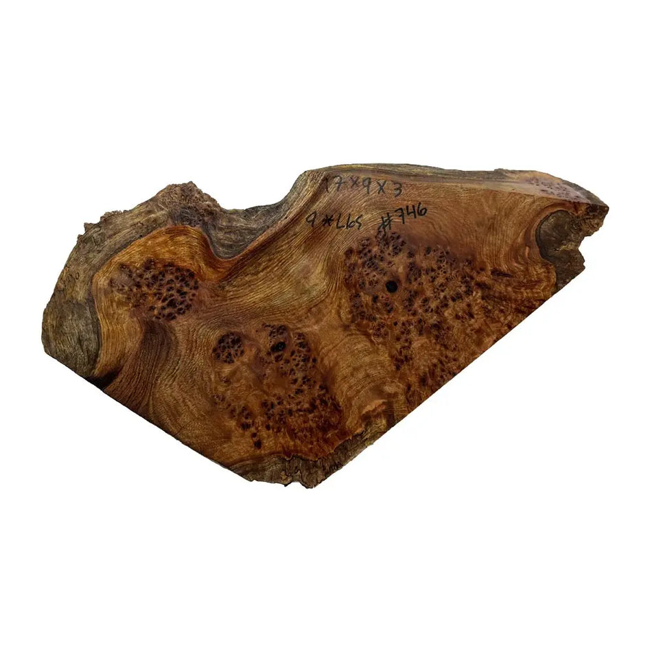 Chechen Burl Cap 17x9x3 inches, 9 lbs |  #746 - Exotic Wood Zone - Buy online Across USA 