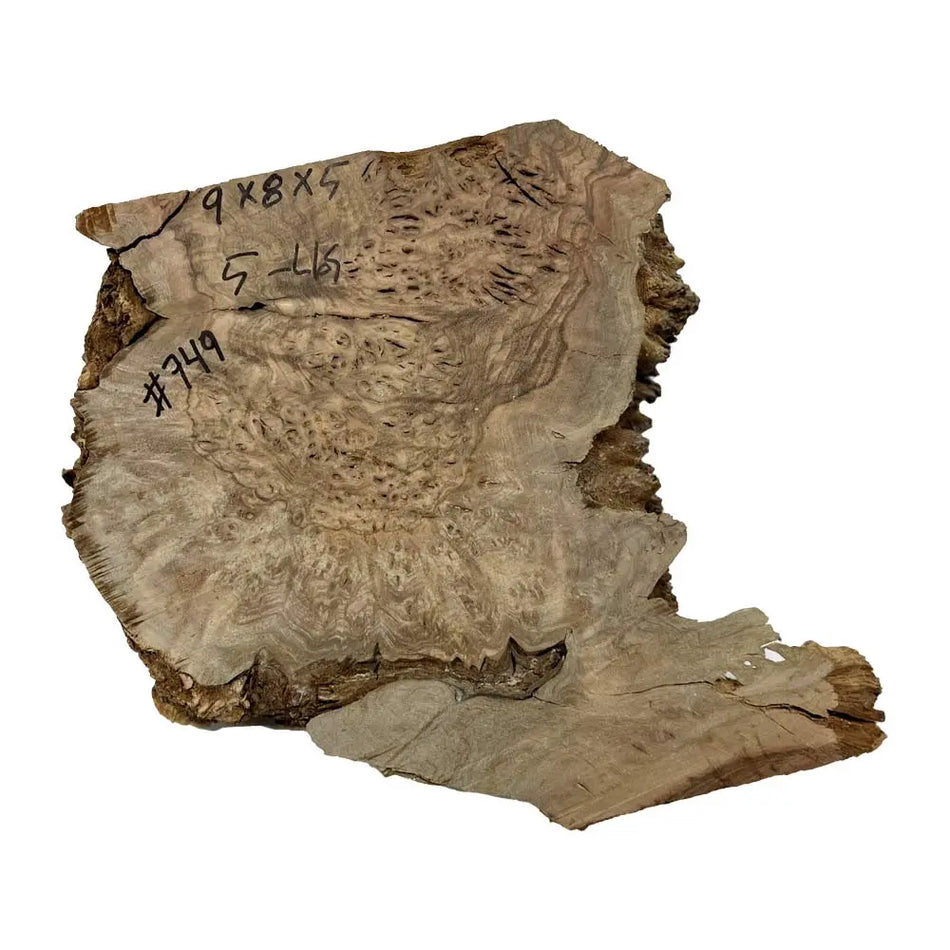 Chechen Burl Cap 9x8x5 inches, 5 lbs |  #749 - Exotic Wood Zone - Buy online Across USA 