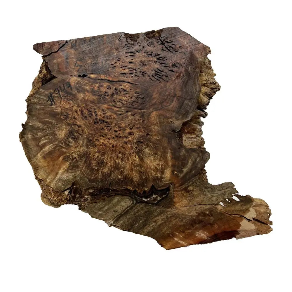 Chechen Burl Cap 9x8x5 inches, 5 lbs |  #749 - Exotic Wood Zone - Buy online Across USA 