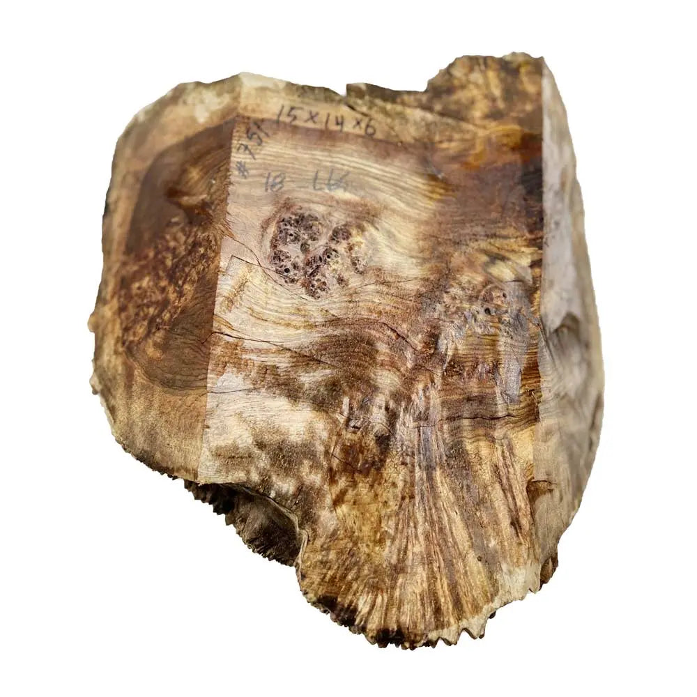 Chechen Burl Cap 15x14x6 inches, 18 lbs |  #751 - Exotic Wood Zone - Buy online Across USA 