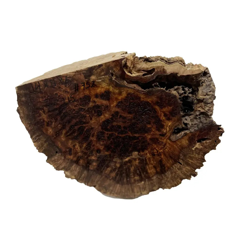 Chechen Burl Cap 14x11x6 inches, 12 lbs |  #752 - Exotic Wood Zone - Buy online Across USA 