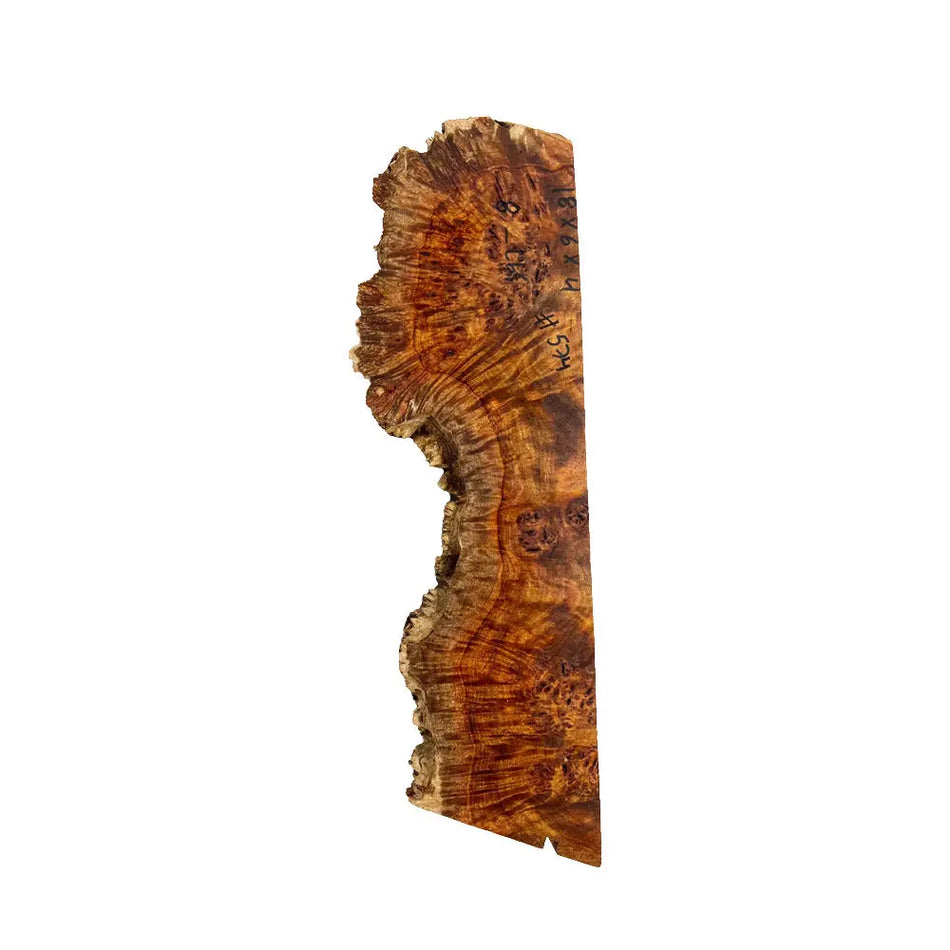 Chechen Burl Cap 18"x6"x4"    8 lbs |  #574 - Exotic Wood Zone - Buy online Across USA 