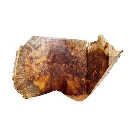 Chechen Burl Cap 15"x9"x5"  10 lbs |  #579 - Exotic Wood Zone - Buy online Across USA 