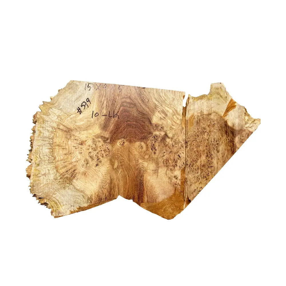 Chechen Burl Cap 15"x9"x5"  10 lbs |  #579 - Exotic Wood Zone - Buy online Across USA 